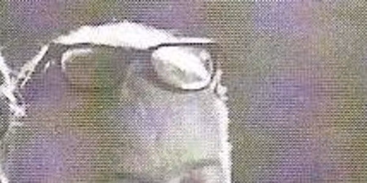 Francisco Lara Polop