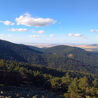 Pinar de la Acebeda, un bosque situado en la provincia de Segovia declarado Sitio Nacional de Interés Natural desde 1930 (Castilla, España).
Fotografiado desde el entorno de Cerro Ventoso.