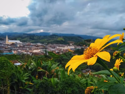 Sevilla (ciudad - películas de acción)
